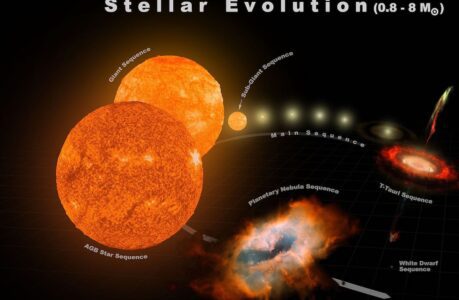 The Life Cycle of a Star: Understanding Stellar Evolution