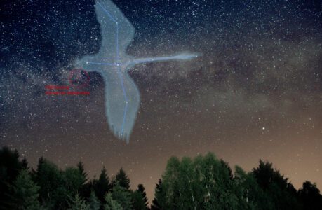 A Guide to the Constellation Cygnus: The Swan in the Night Sky