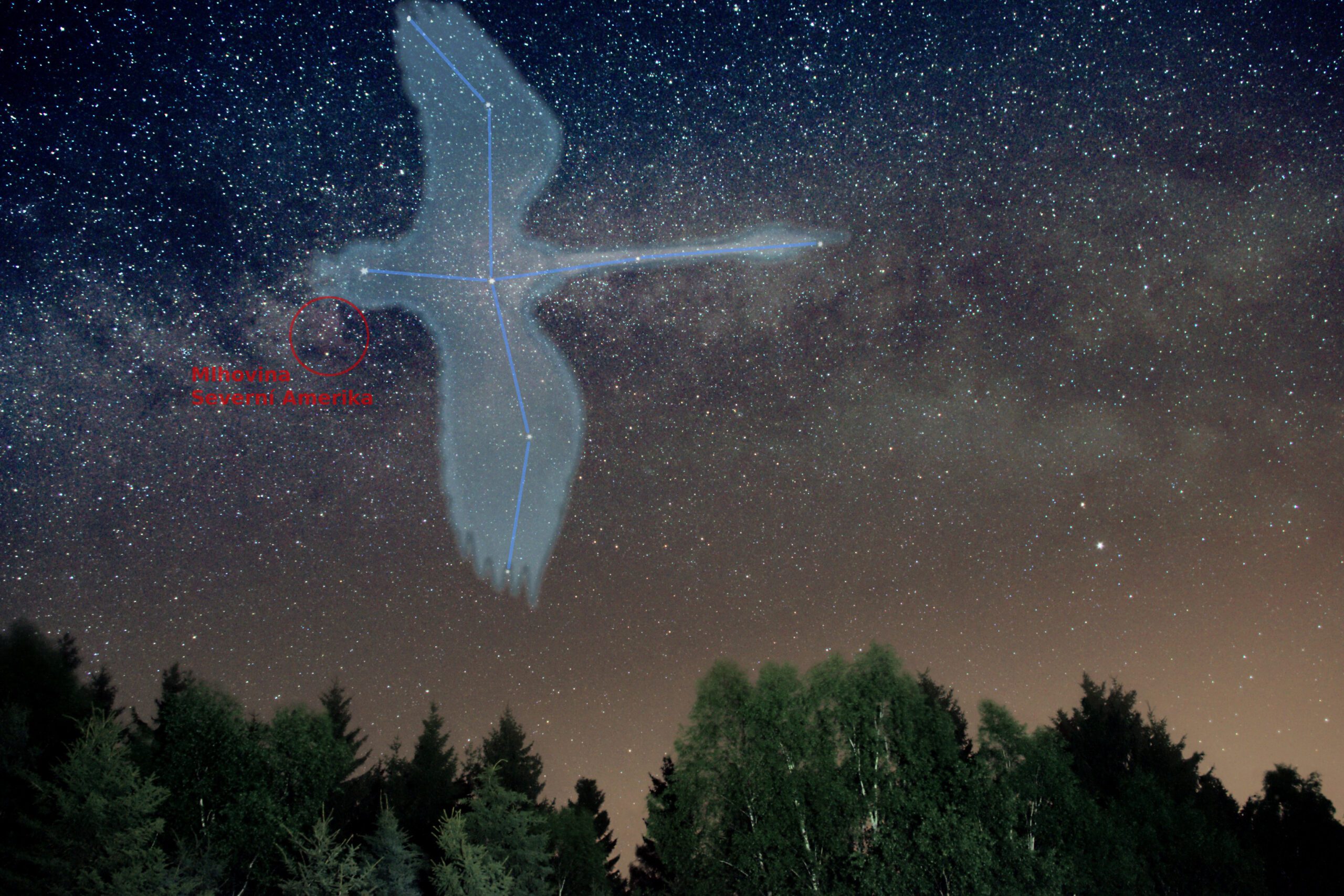 A Guide to the Constellation Cygnus: The Swan in the Night Sky