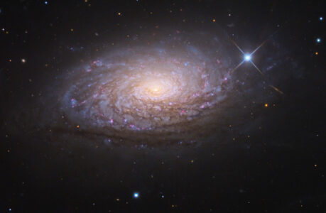 Hunting for the Sunflower Galaxy: A Beginner’s Guide