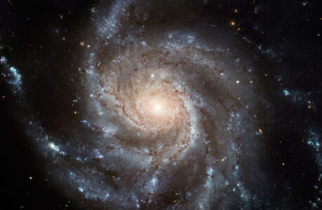 Messier 101: The Pinwheel Galaxy – A Spiral Beauty in Ursa Major