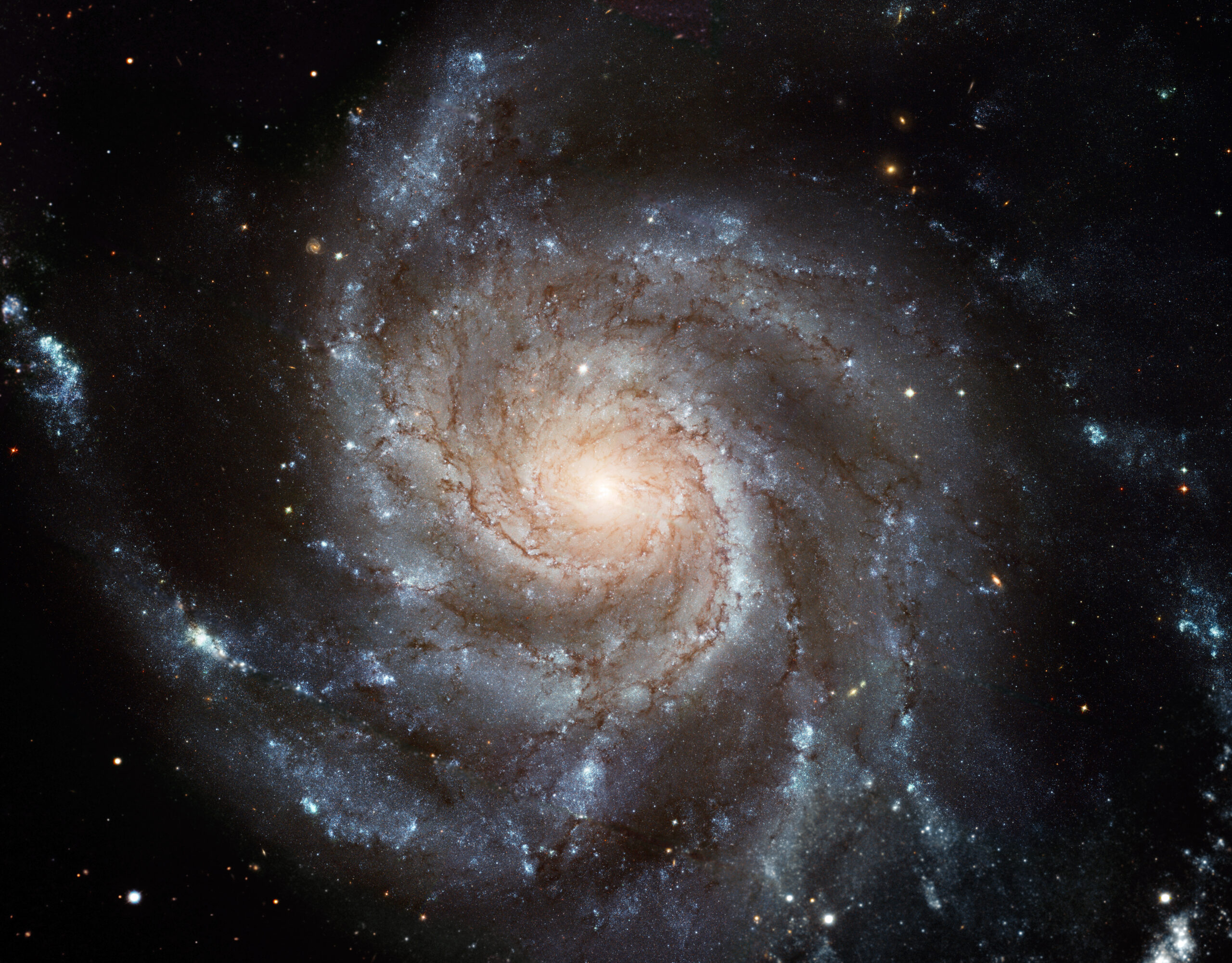 Messier 101: The Pinwheel Galaxy – A Spiral Beauty in Ursa Major